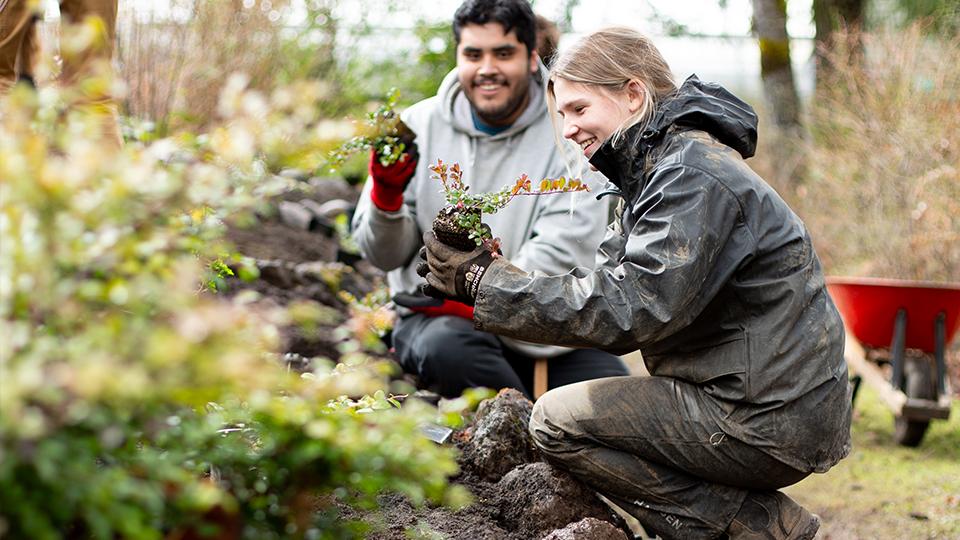 VIU horticulture