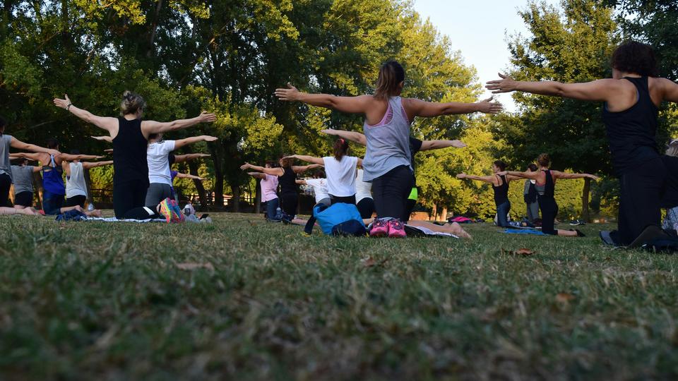 movement for wellness