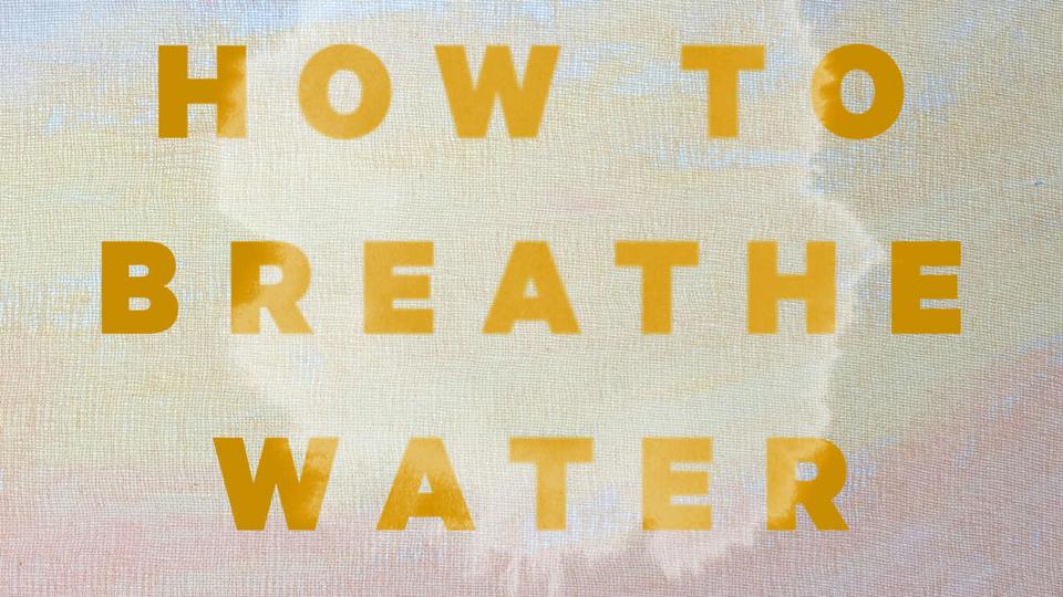 Book Cover How to Breathe Water
