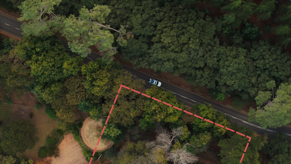 Aerial view of road through forest with a dotted property line
