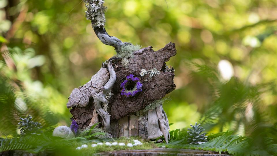 Woodland inspired fairy house nestled in ferns.