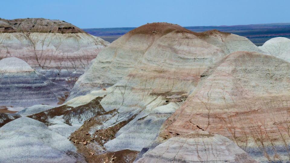 event poster mentioning geography and geoscience labour market round table