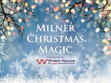 Christmas lights sparkle in trees with the text, Milner Christmas Magic.
