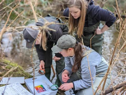 Students in the field working on an assignment as a group